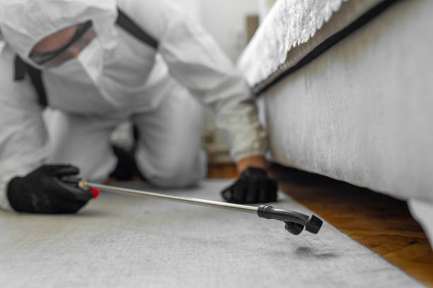 Professional Ant Control technician working in Meraux, LA